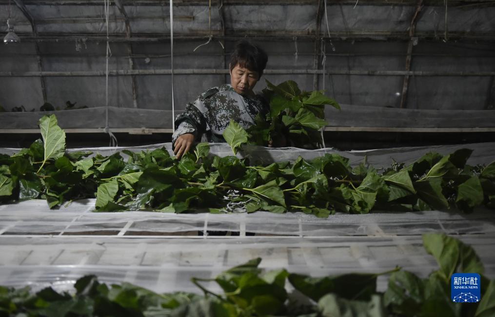 多盈在线登录
